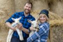 Jim Smith and Nicola Wheeler in checked shirts holding lambs in front of bales of straw
