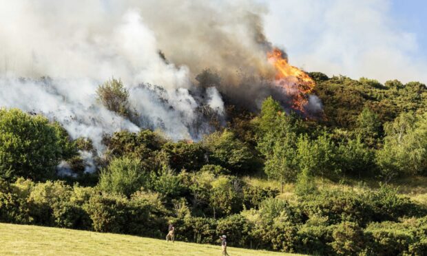 The wildfire near Perth.
Image: Richard Wilkins