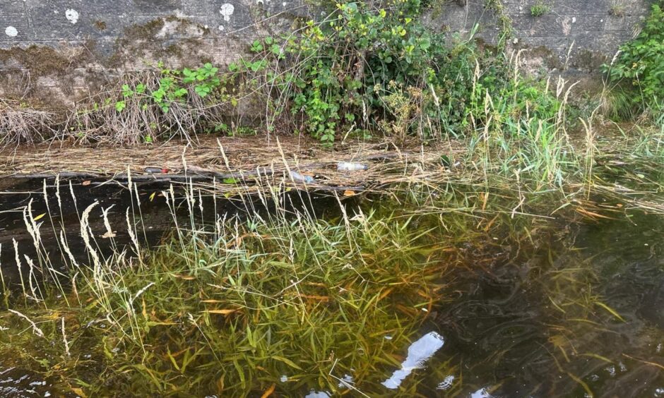 Rubbish in the Tay.