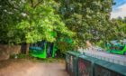 The bus crashed into the trees. Image: Steve MacDougall/DC Thomson