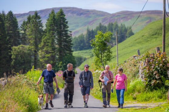Five people walking on narrow road surrounded by mountains and trees