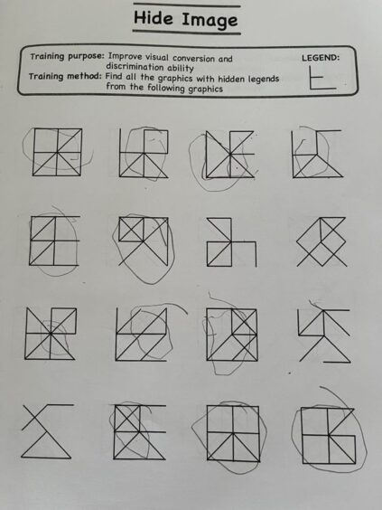 An example of the puzzles Saina is able to complete.