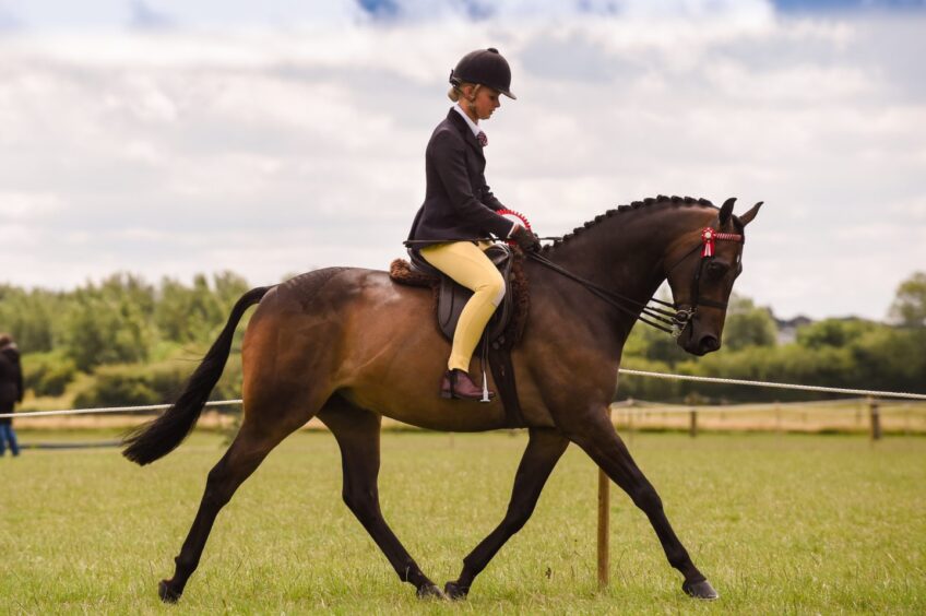 a-dressage-rider-and-horse-mid-stride