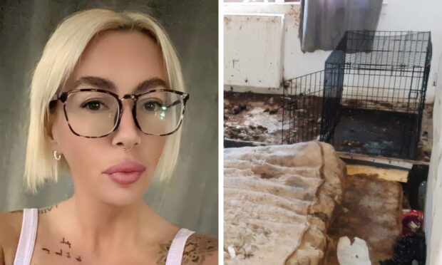 Stacey Harris and the 'house of horrors'