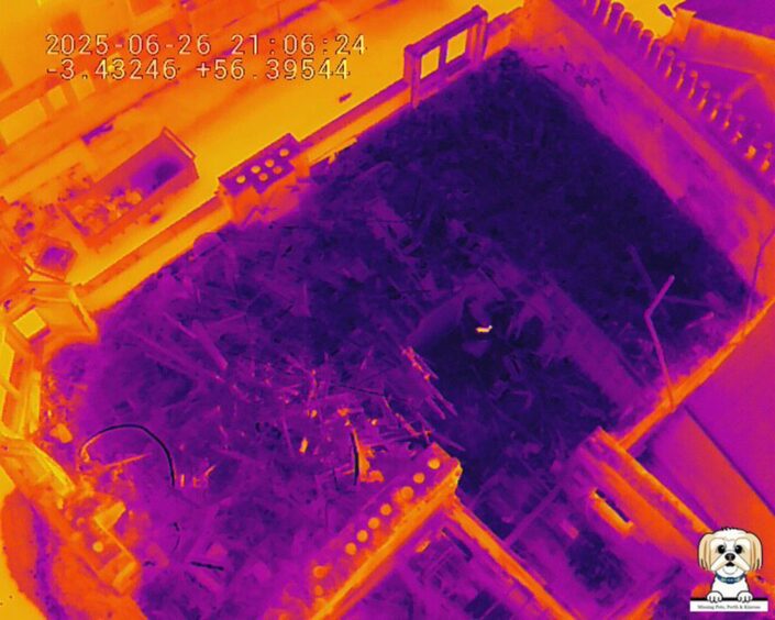 Thermal imaging cameras showed the tiny dog at the Perth fire scene. The dog is an orange blob amid purplish wreckage.