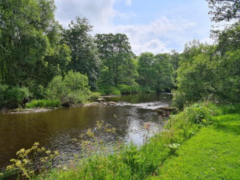 Idyllic countryside in Campsie Glen.