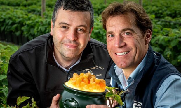 Geoff Bruce, of Bruce Farms, right, with Scotty Brand development manager Andrew Young
