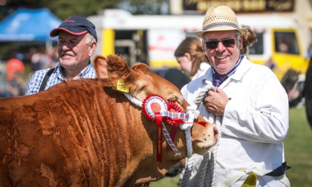Overall cattle champion at the 2022 Kirriemuir Show