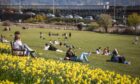 Dundonians enjoying the sunshine on Magdalen Green
