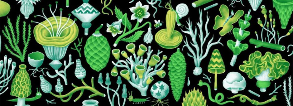 Decorative mural at V&A in shades of green, white and black showing plant life.