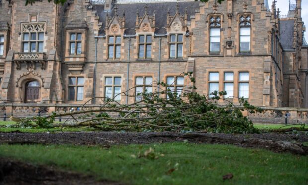 A tree down in the grounds of Morgan Academy. Image: Kim Cessford / DC Thomson
