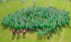 The record-breaking gathering of Peter Pans in 2017. Image: Kim Cessford/DC Thomson