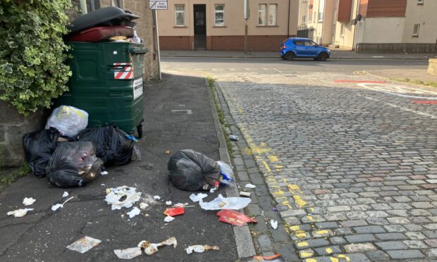 An overflowing euro bin on Morgan Street in Dundee.
