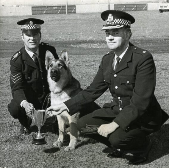 Sergeant James Dykes, of Dundee City Police, and Superintendent Frank Young with Jaff, and the trophy-winning German Shepherd Jaff in May 1974. Image: DC Thomson.