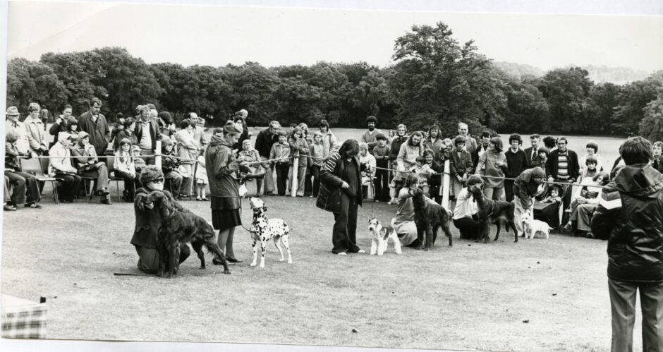 dog show camperdown park july 1978