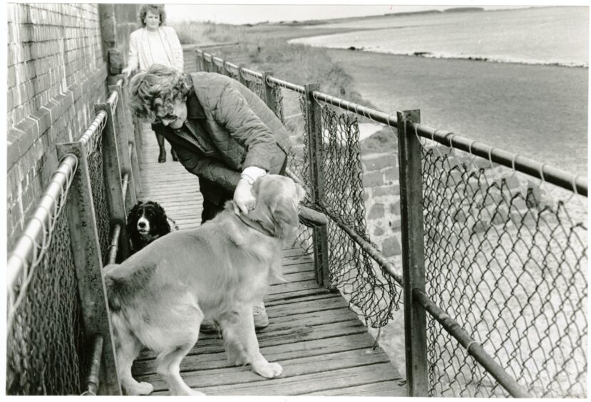 Mary Henderson keeps her dogs away from a hole in the bridge at Balmossie Halt in August 1988
