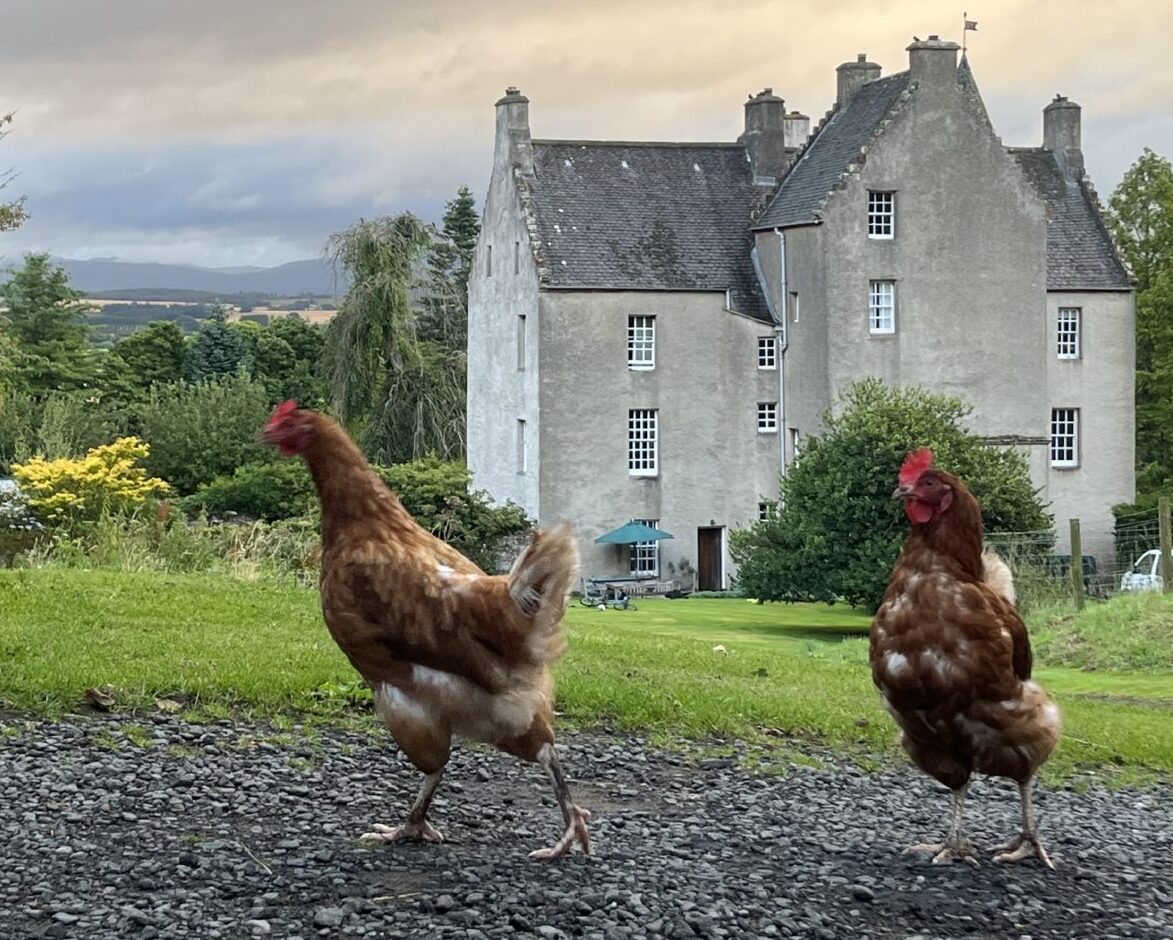 How Stirlingshire farm is boosting Scottish agritourism