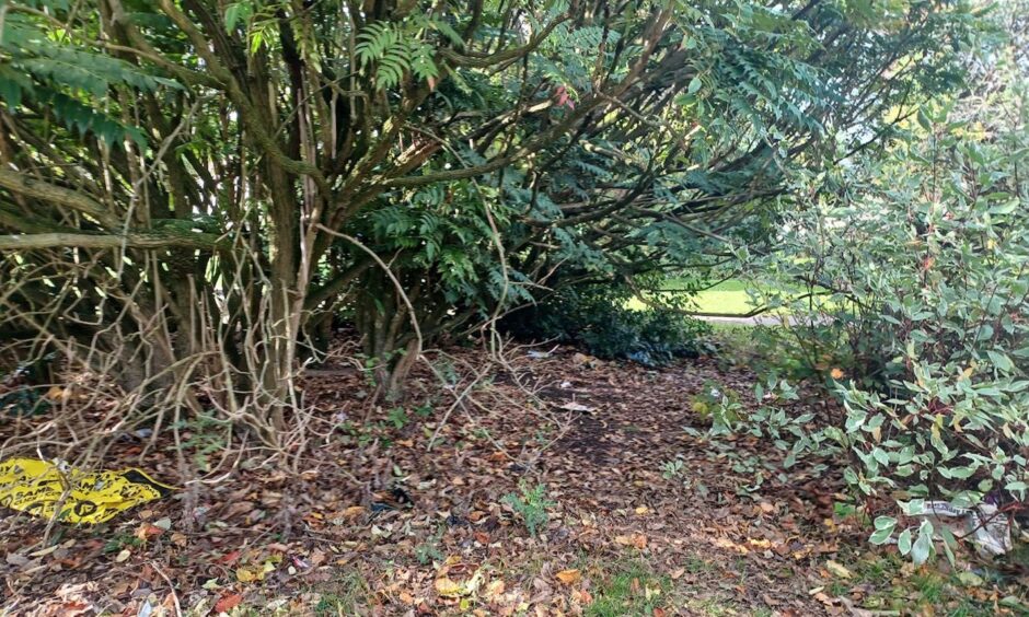 A general view of a park in Kirkcaldy with trees, leaves and lots of litter.