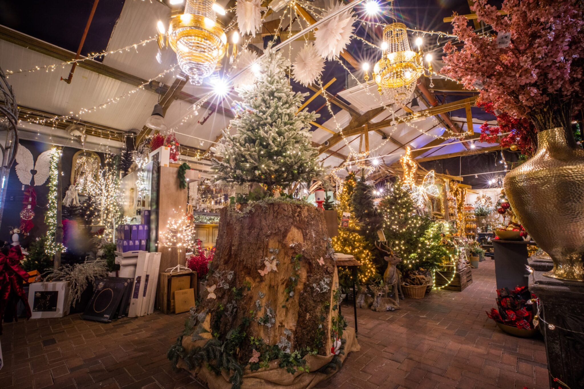 Is Glendoick Christmas Shop better Than Harrods is-glendoick-christmas-shop-better-than-harrods