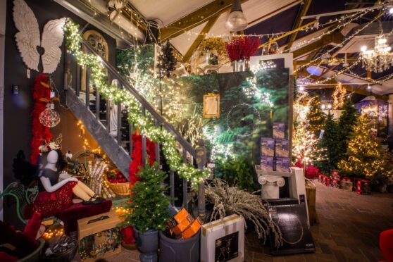 Is Glendoick Christmas Shop better Than Harrods is-glendoick-christmas-shop-better-than-harrods