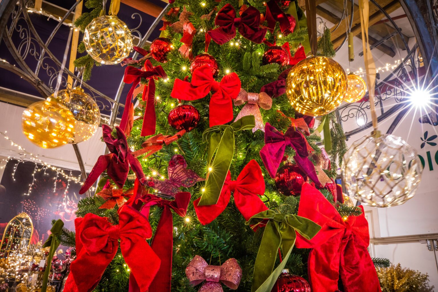 Is Glendoick Christmas Shop better Than Harrods is-glendoick-christmas-shop-better-than-harrods