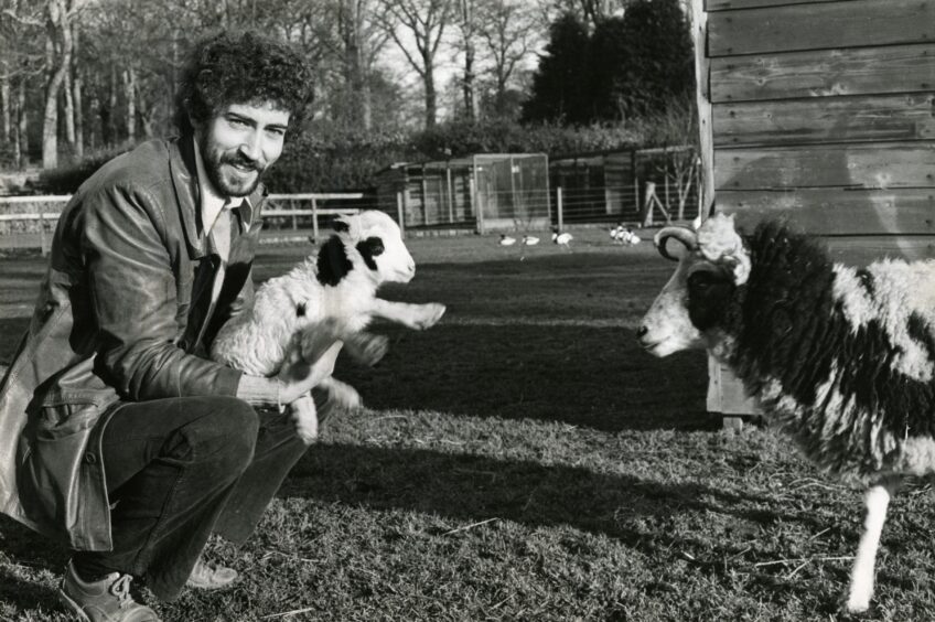 George Reid, assistant conservation officer, pictured with a day old Jacob's Lamb, at Camperdown Wildlife Centre in January 1981. Image: DC Thomson. 