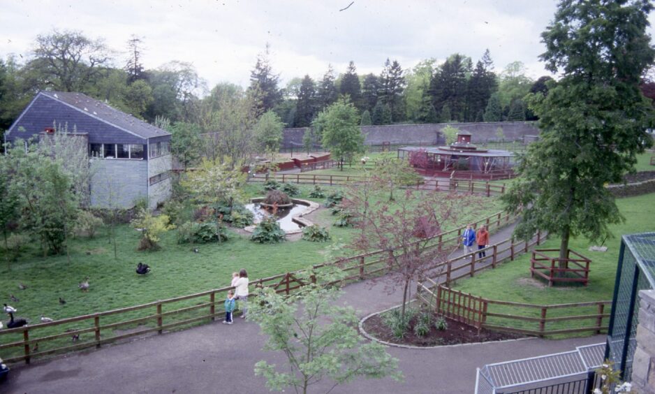 Camperdown Zoo in 1988.