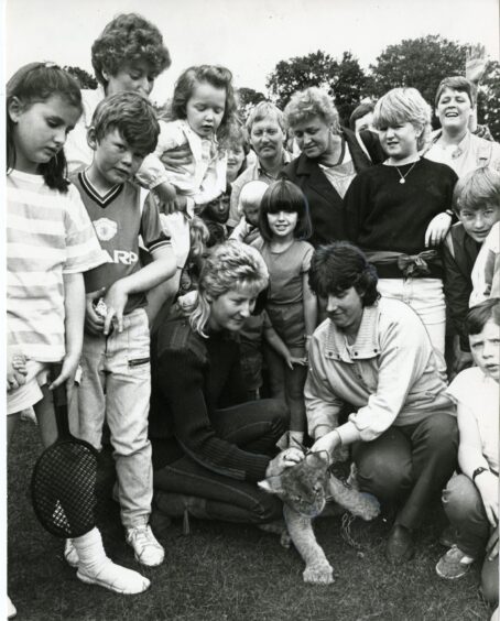 People crowding round Goldie the lion cub at Camperdown Wildlife Centre in August 1986. Image: DC Thom