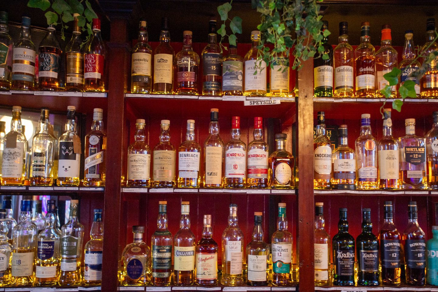 Dundee's Speedwell Bar rated second in Great British Pub Crawl