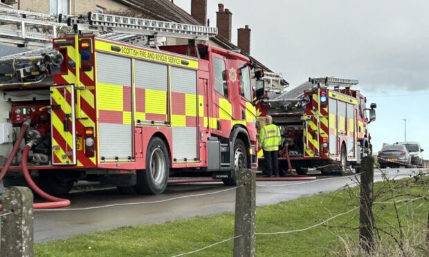 Five dogs killed in Fife house fire as exotic pets rescued