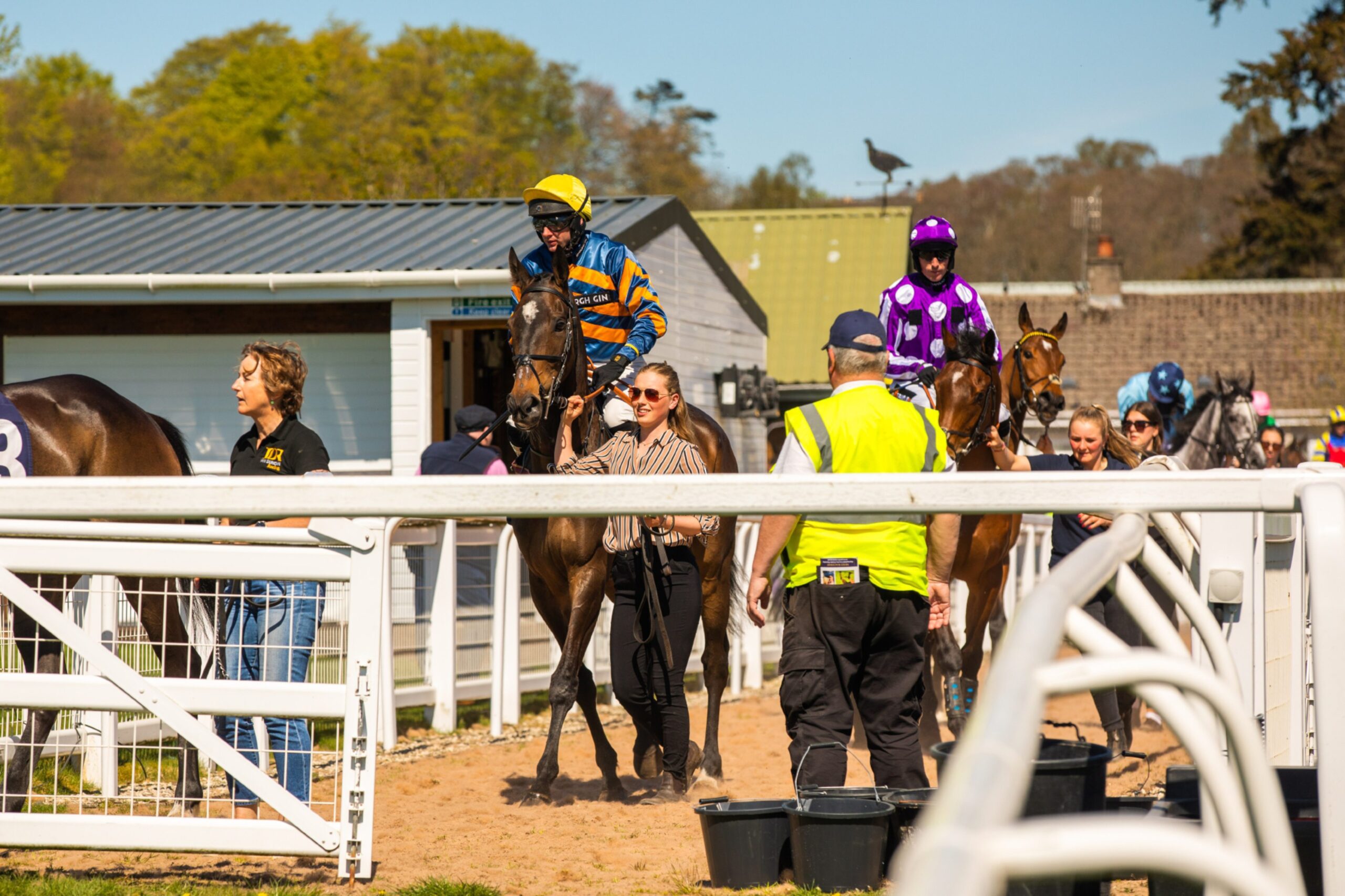 Perth Racing Scotland Perth festival finale draws crowds at Perth Race Course