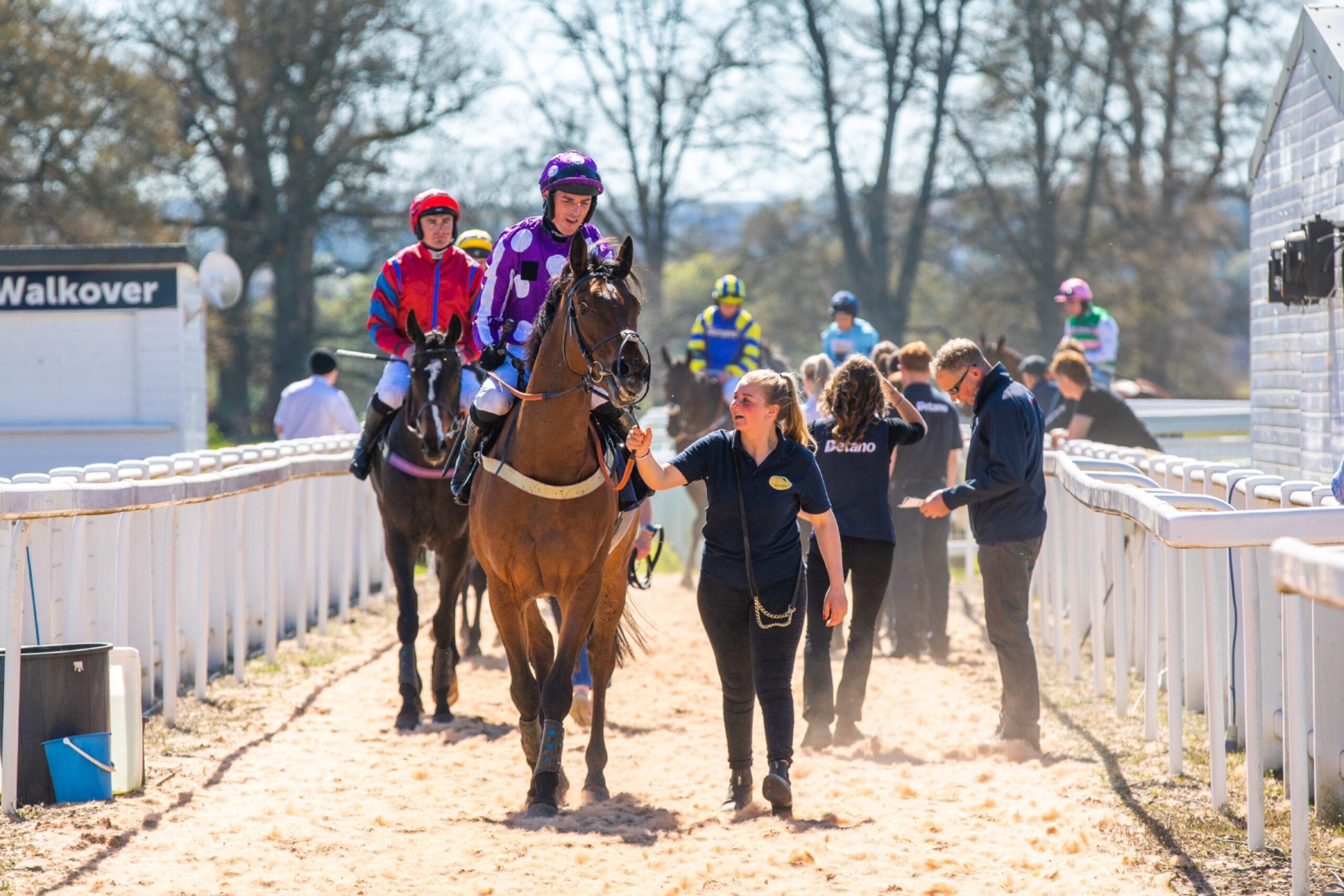 Perth Racing Scotland Perth festival finale draws crowds at Perth Race Course