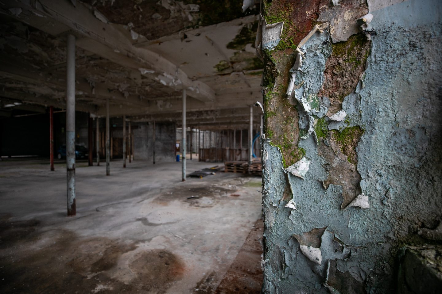 an abandoned building.
