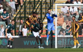 EXCLUSIVE: Trialist joins Dundee in Hungary as goalkeeper search rumbles on