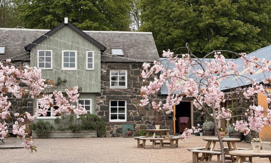 Comrie Croft wedding venue with cherry trees in bloom