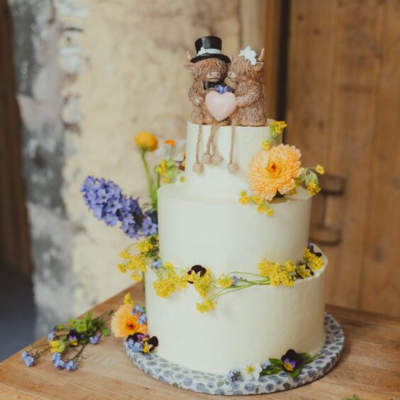 Wedding cake, three tiers with cream frosting decorated with fresh flowers and a Highland cow bride and groom cake topper.