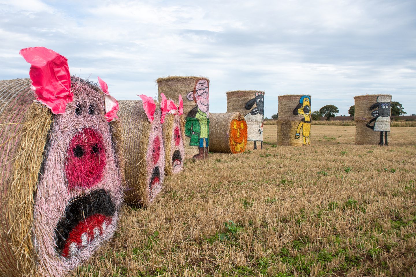 Angus bale artist Fleur rounds up Shaun the Sheep and pals in new display