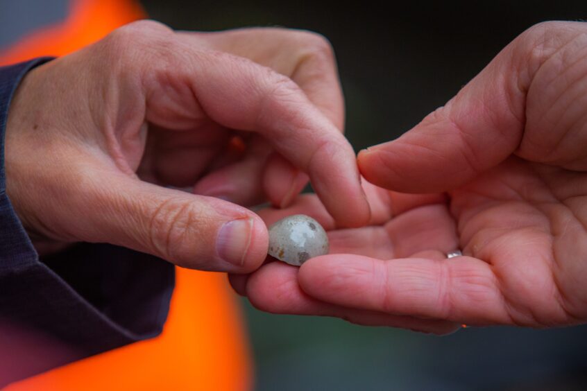 marble being passed from one hand to another