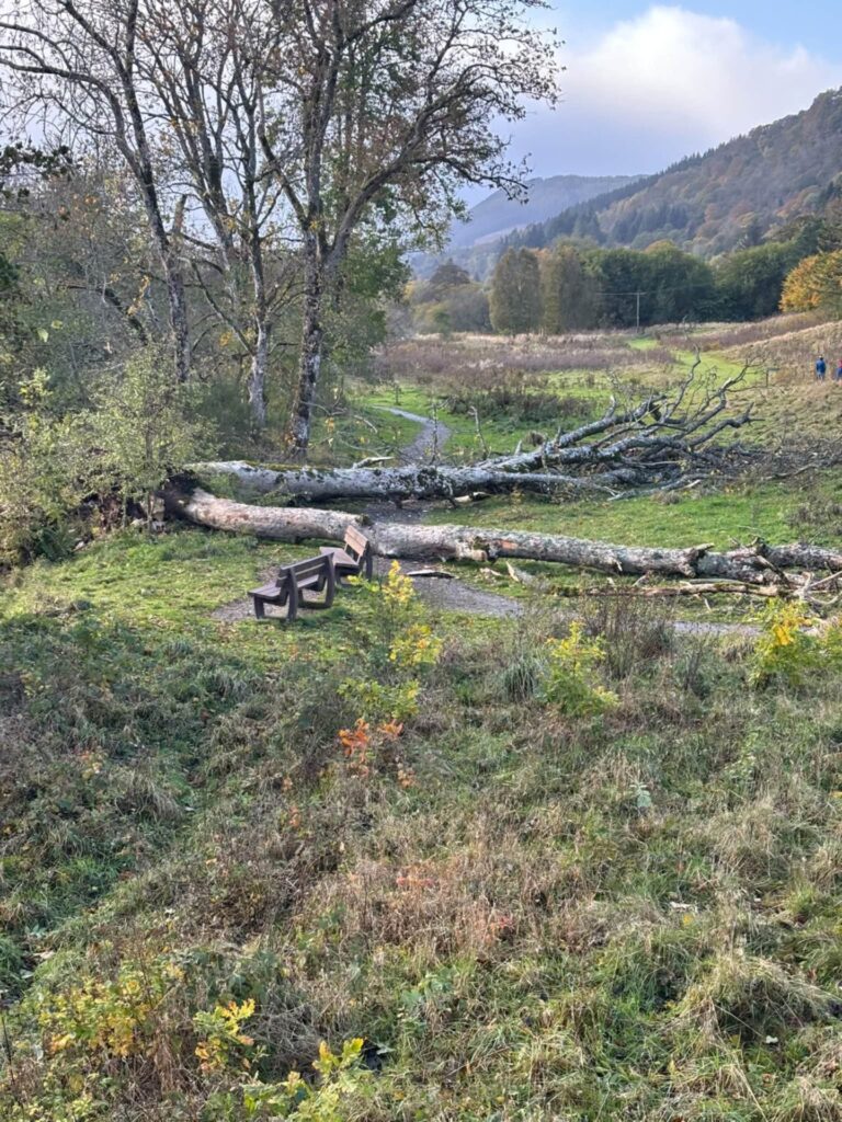 Hero Aberfeldy locals rescue woman pinned under fallen tree