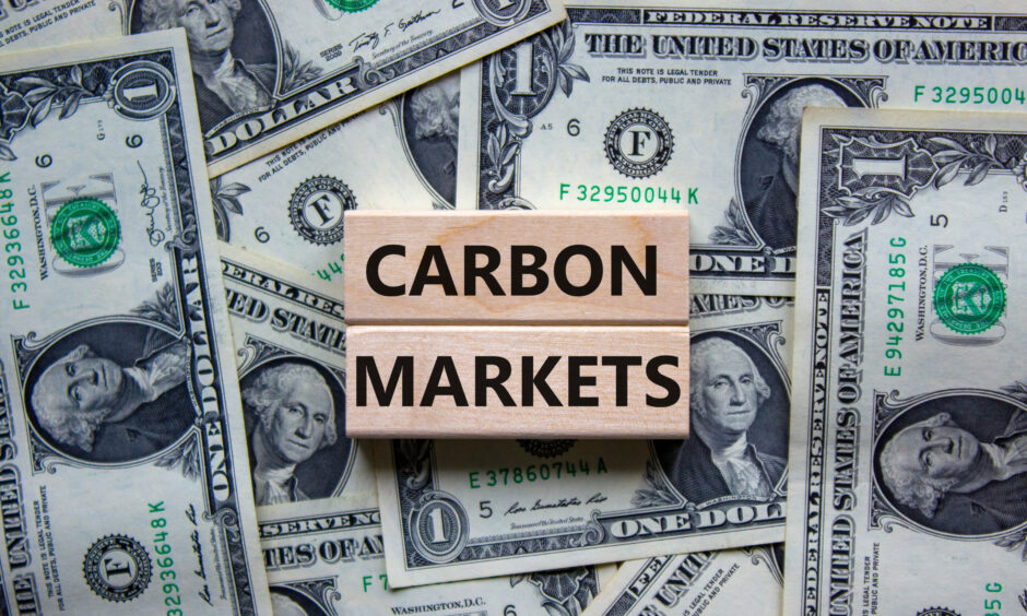 Image shows two wooden boxes that read "carbon markets" on a background of dollar bills.
