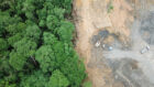 rainforest in brazil being cleared