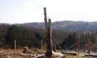 land ravaged by deforestation