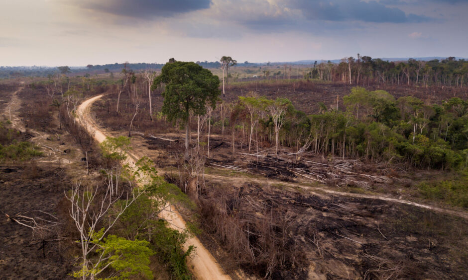 Aerial view of deforestation in the Amazon forest.