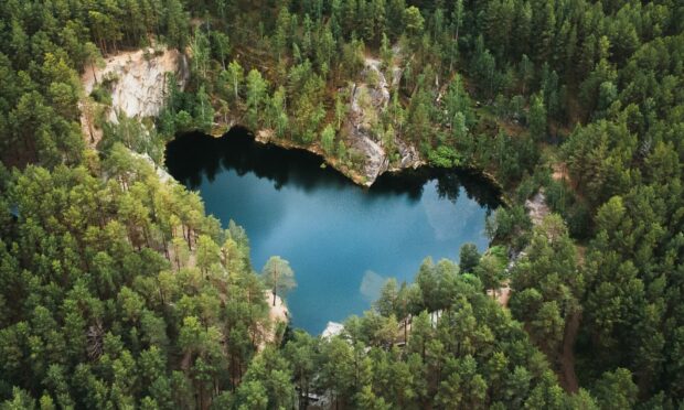 Heart-shaped lake in the middle of a forest.