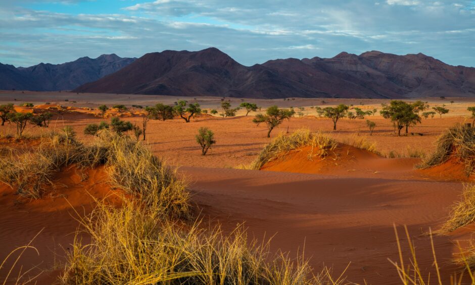 Namibia.