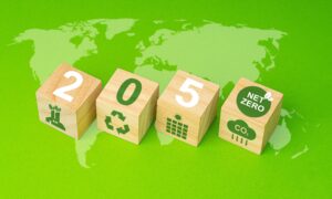 Building blocks for a net zero transition.