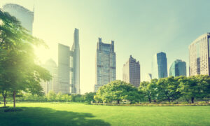 Skyscrapers overlooking a large green park.