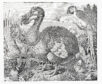 Artist's representation of a dodo in its natural habitat.