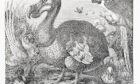 Artist's representation of a dodo in its natural habitat.