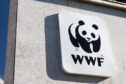 WWF.